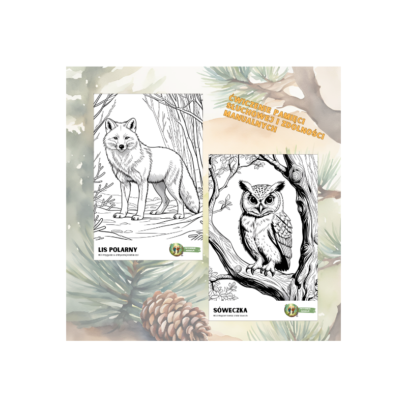 Przyrodnicze Kolorowanki  - Sezon 2