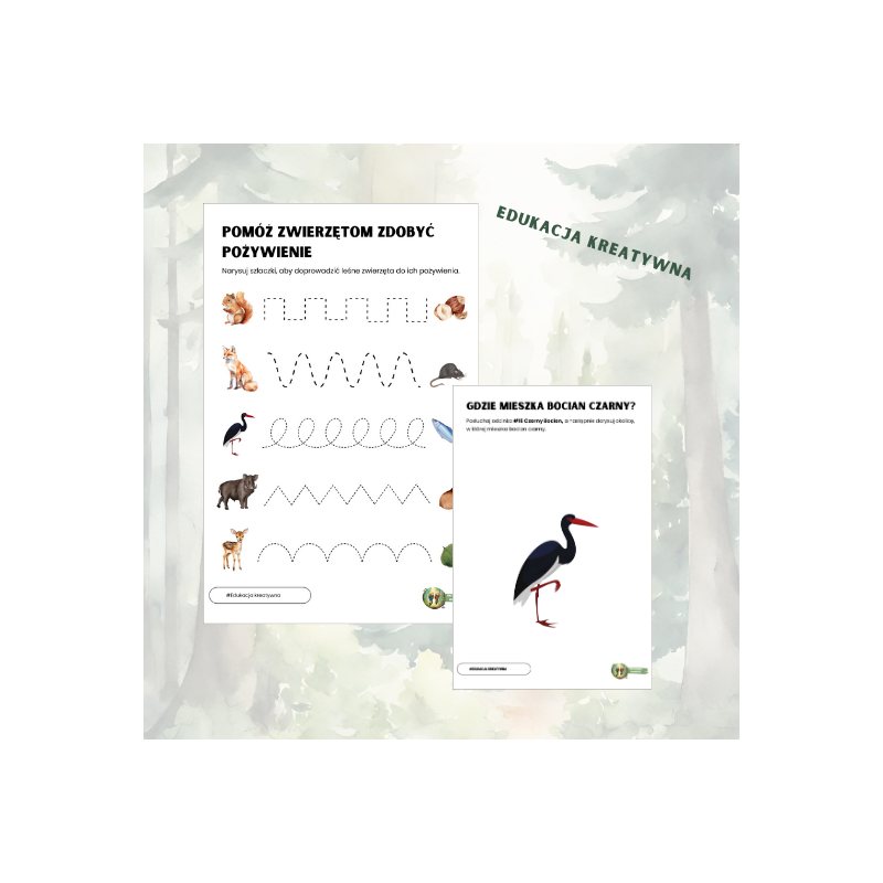 Przyrodniczy Zeszyt Ćwiczeń. Zwierzęta Leśne